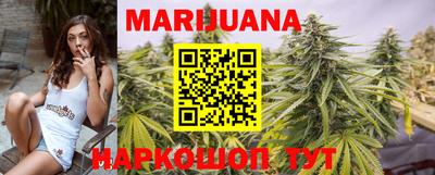 мяу мяу мука Аргун