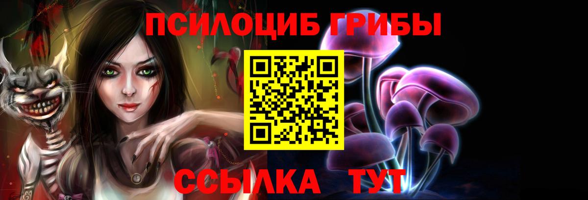 Псилоцибиновые грибы MAGIC MUSHROOMS  Балтийск 